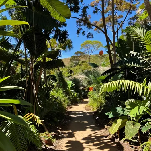 As Melhores Trilhas para Aventura em Palmas – TO As Melhores Trilhas para Aventura em Palmas - TO