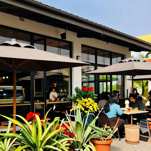 Cafe de La Musique Casas