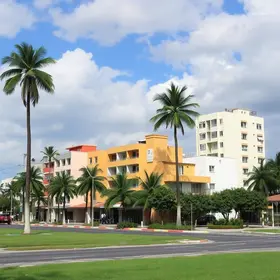 Zeladoria Urbana de Palmas