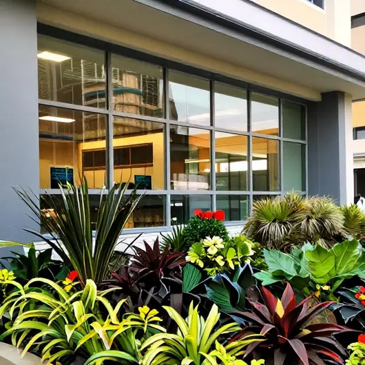 Conheça a Clinica Alive