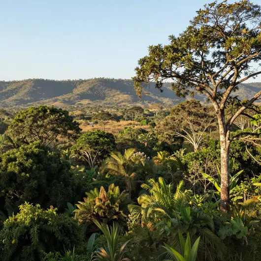 Descubra a Estação Ecológica Serra Geral do Tocantins Descubra a Estação Ecológica Serra Geral do Tocantins