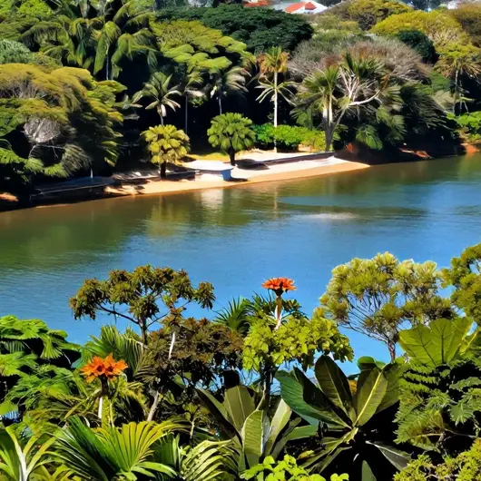 Descubra a Ilha Canela