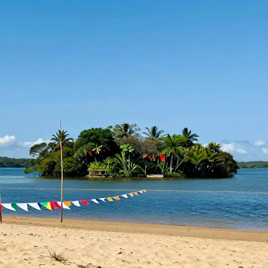 Descubra a Ilha do Canela: Um Paraíso Natural Descubra a Ilha do Canela: Um Paraíso Natural