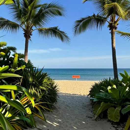 Descubra a Praia do Caju
