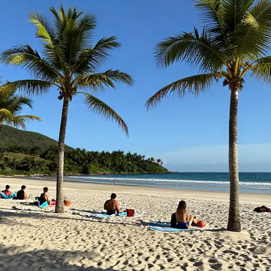Descubra a Praia do Funil Descubra a Praia do Funil