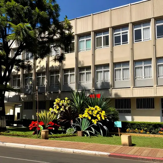 Descubra a Secretaria Municipal de Mobilidade Urbana