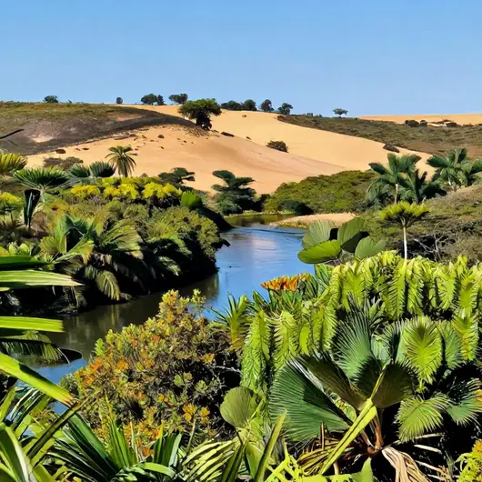 Descubra as Belezas do Seriema Ecoturismo