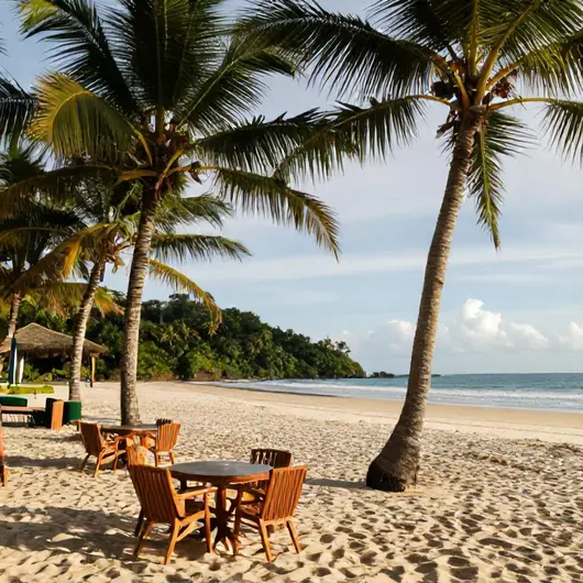 Descubra Butiquim beach palmas