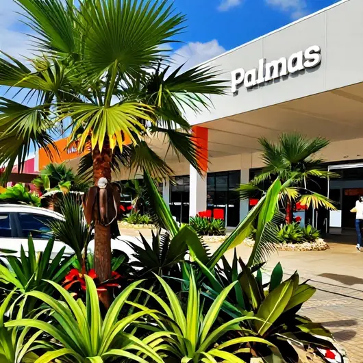 Descubra o Capim Dourado Shopping