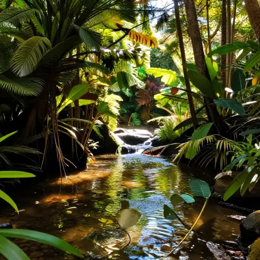 Descubra o Fervedouro Jatobá