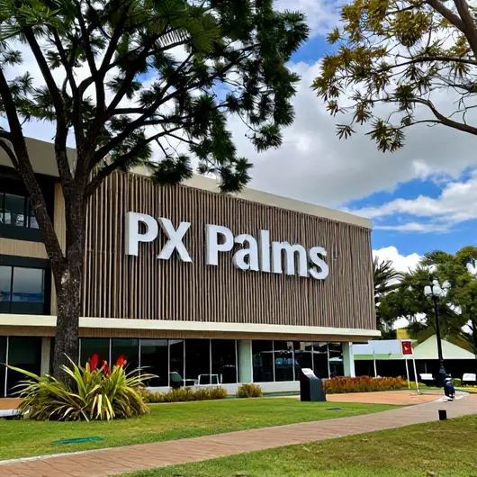 Descubra o Grupo Pax Palmas Descubra o Grupo Pax Palmas