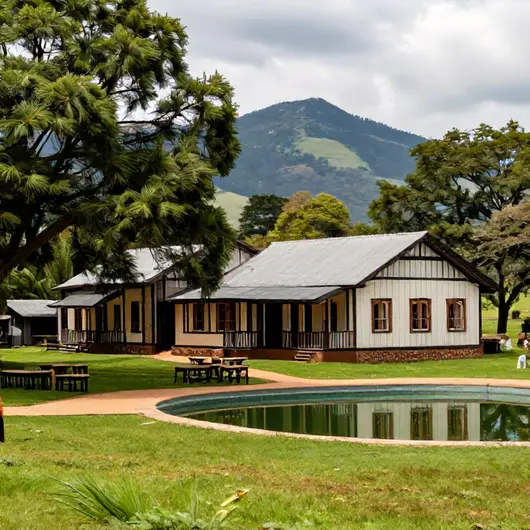 Descubra o Hotel Fazenda Palmeiras