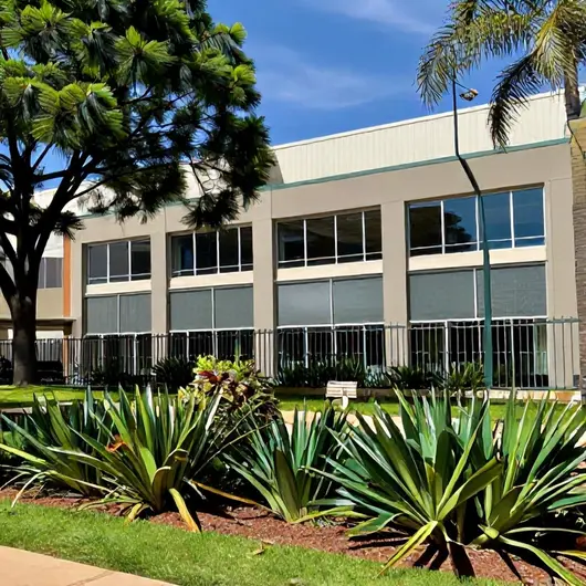Descubra o Instituto Viver Bem