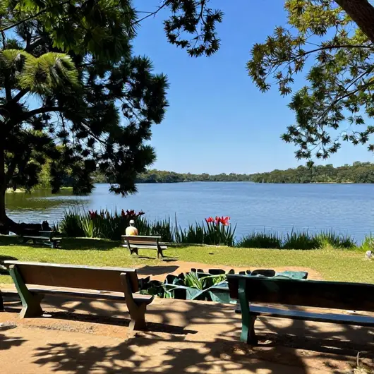 Descubra o Lago da Palma