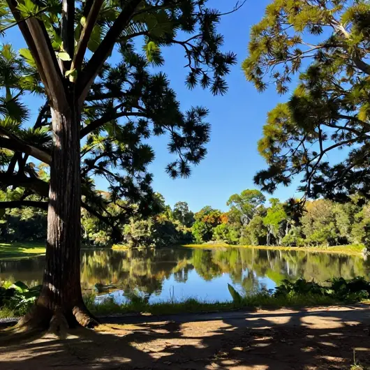 Descubra o Melhor do Turismo Tocantins