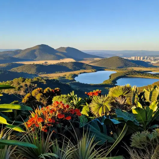 Descubra o Mirante