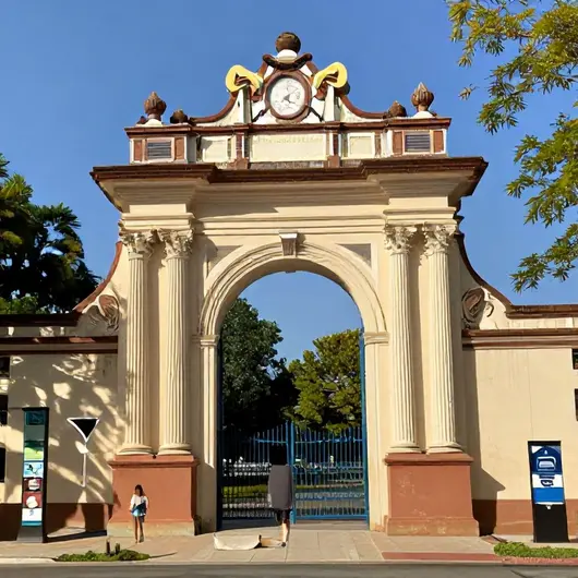 Descubra o Portal Palmas