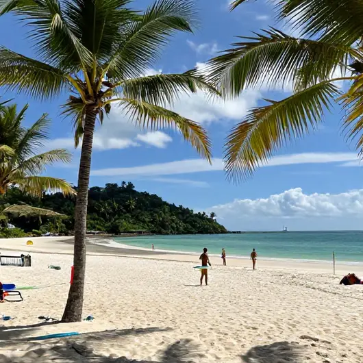 Descubra Palmas na Temporada de Praia: Um Guia Completo