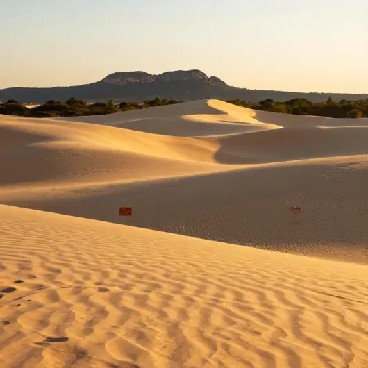 Dunas do Jalapão: Um Paraíso Natural em Goiás Dunas do Jalapão: Um Paraíso Natural em Goiás