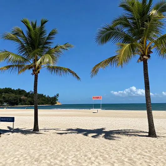 Explorando a Praia de Palmas