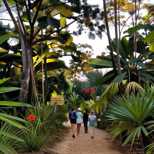 Explorando o Cerrado Dourado Expedições