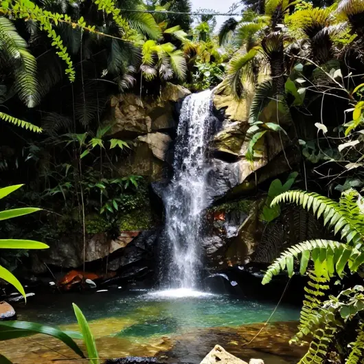 Explore a Cachoeira Do Taquaraçu