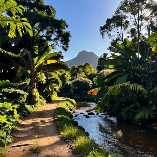 Explore os Melhores Passeios e Atividades em Palmas
