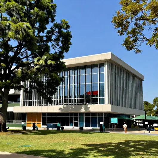 Instituto Capim Dourado: Um Centro de Conhecimento e Cultura