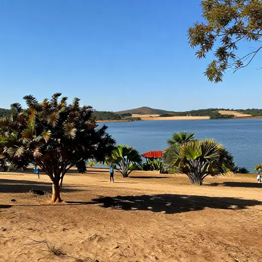 Melhores Dicas para Visitar Palmas Durante o Período de Seca