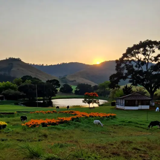 Melhores opções de turismo rural em Palmas: 15 lugares para conhecer Melhores opções de turismo rural em Palmas: 15 lugares para conhecer