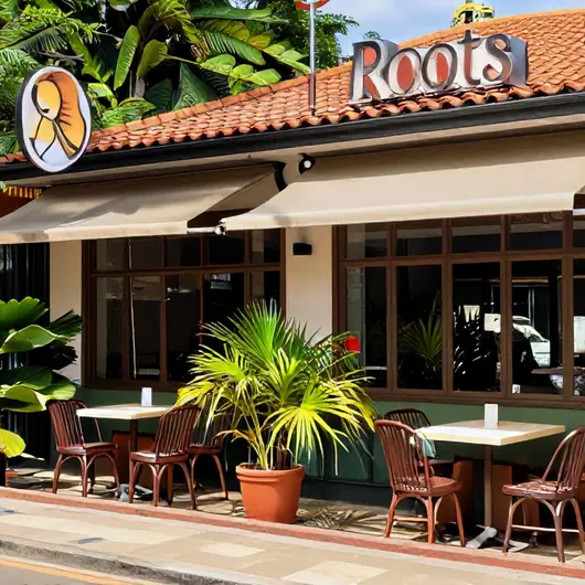 Roots