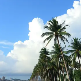 previsão do tempo em Palmas (TO)