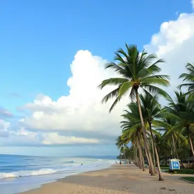 previsão do tempo em Palmas (TO)
