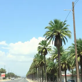 calor intenso em Palmas