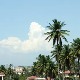 Censo dos Povos de Terreiro e Matriz Africana